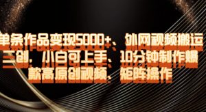 单条作品变现5000+、外网视频搬运二创，小白可上手，10分钟制作爆款高原创视频，矩阵操作【揭秘】-一号资源库