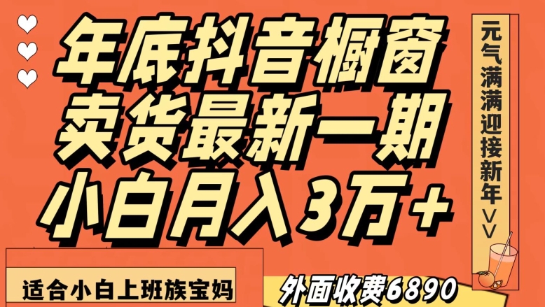 外面收费6890元年底抖音橱窗卖货最新一期，小白月入3万，适合小白上班族宝妈【揭秘】-一号资源库