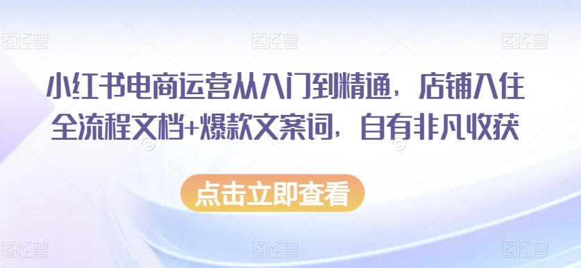 小红书电商运营从入门到精通，店铺入住全流程文档+爆款文案词，自有非凡收获-一号资源库