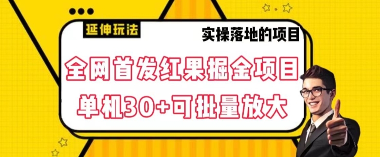 全网首发红果免费短剧掘金项目，单机30+可批量放大【揭秘】-一号资源库