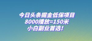 今日头条掘金低保项目，8000播放=150米，小白副业首选【揭秘】-一号资源库