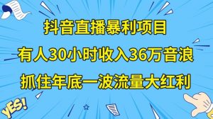 抖音直播暴利项目，有人30小时收入36万音浪，公司宣传片年会视频制作，抓住年底一波流量大红利【揭秘】-一号资源库