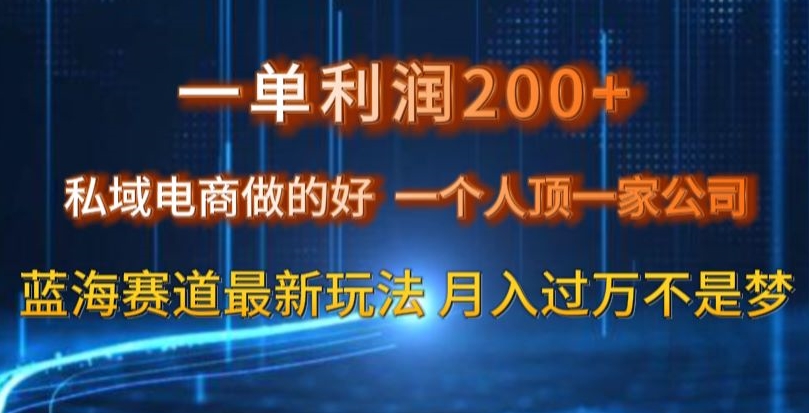 一单利润200私域电商做的好，一个人顶一家公司蓝海赛道最新玩法【揭秘】-一号资源库