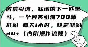怎么搞精准创业粉？微信新赛道，每天一小时，利用Ai一个问答日引100精准粉-一号资源库