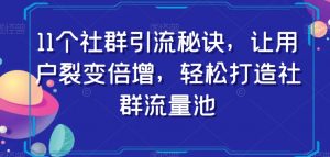 11个社群引流秘诀，让用户裂变倍增，轻松打造社群流量池-一号资源库