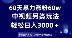 60天暴力涨粉60W，中视频另类玩法，日入3000＋，几分钟一条原创作品多种变现方式-一号资源库
