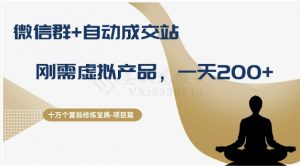 十万个富翁修炼宝典之8.微信群+自动成交站,刚需虚拟产品,一天200+-一号资源库