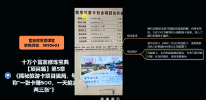 十万个富翁修炼宝典之5.揭秘旅游卡项目骗局，号称“一张卡赚500，一天能卖两三张”-一号资源库