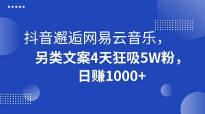 抖音邂逅网易云音乐，另类文案4天狂吸5W粉，日赚1000+【揭秘】-一号资源库