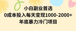 小白副业首选，0成本投入，每天变现1000-2000年底暴力冷门项目【揭秘】-一号资源库
