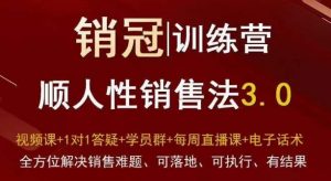 爆款！销冠训练营3.0之顺人性销售法，全方位解决销售难题、可落地、可执行、有结果-一号资源库