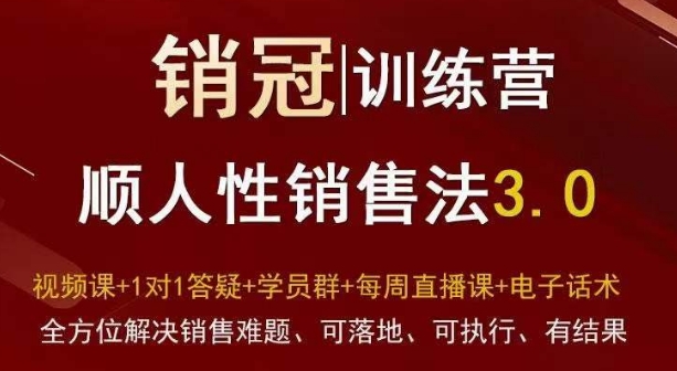 爆款！销冠训练营3.0之顺人性销售法，全方位解决销售难题、可落地、可执行、有结果-一号资源库