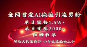 全网首发Ai换脸引流男粉,单日涨粉1.5w+,单日变现3000+,小白也能轻松上手拿结果【揭秘】-一号资源库