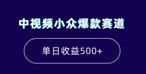 中视频小众爆款赛道，7天涨粉5万+，小白也能无脑操作，轻松月入上万【揭秘】-一号资源库