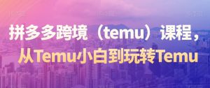拼多多跨境（temu）课程，从Temu小白到玩转Temu-一号资源库