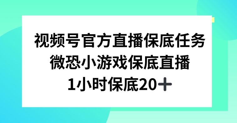 视频号直播任务，微恐小游戏，1小时20+【揭秘】-一号资源库