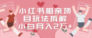 小红书相亲项目玩法拆解，有人通过这个副业项目做到了月收入2万多【揭秘】-一号资源库