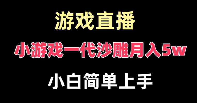 玩小游戏一代沙雕月入5w，爆裂变现，快速拿结果，高级保姆式教学【揭秘】-一号资源库