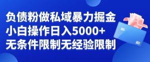 负债粉私域暴力掘金，小白操作入5000，无经验限制，无条件限制【揭秘】-一号资源库