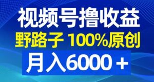视频号野路子撸收益，100%原创，条条爆款，月入6000＋【揭秘】-一号资源库
