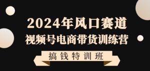 2024年风口赛道视频号电商带货训练营搞钱特训班,带领大家快速入局自媒体电商带货-一号资源库