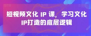 短视频文化IP课，学习文化IP打造的底层逻辑-一号资源库