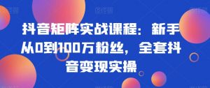 抖音矩阵实战课程：新手从0到100万粉丝，全套抖音变现实操-一号资源库