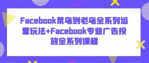 Facebook菜鸟到老鸟全系列运营玩法+Facebook专业广告投放全系列课程-一号资源库