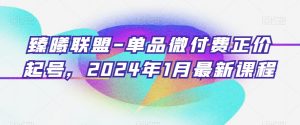 臻曦联盟-单品微付费正价起号，2024年1月最新课程-一号资源库