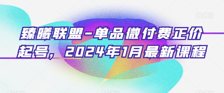 臻曦联盟-单品微付费正价起号，2024年1月最新课程-一号资源库