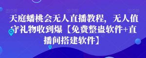 天庭蟠桃会无人直播教程，无人值守礼物收到爆【免费整蛊软件+直播间搭建软件】-一号资源库