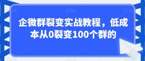 企微群裂变实战教程，低成本从0裂变100个群的-一号资源库
