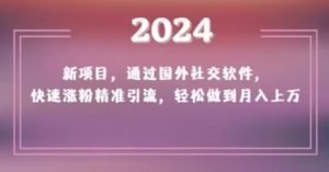 2024新项目，通过国外社交软件，快速涨粉精准引流，轻松做到月入上万【揭秘】-一号资源库