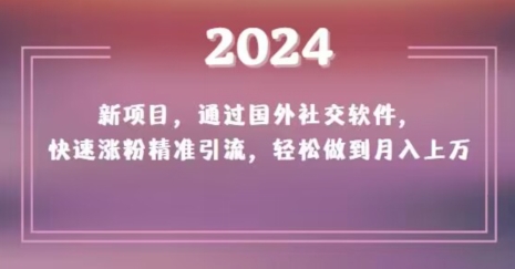 2024新项目，通过国外社交软件，快速涨粉精准引流，轻松做到月入上万【揭秘】-一号资源库