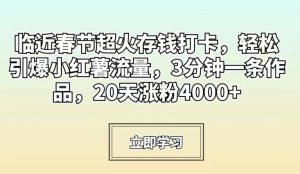 临近春节超火存钱打卡,轻松引爆小红薯流量,3分钟一条作品,20天涨粉4000+【揭秘】-一号资源库