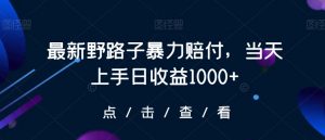最新野路子暴力赔付，当天上手日收益1000+【仅揭秘】-一号资源库