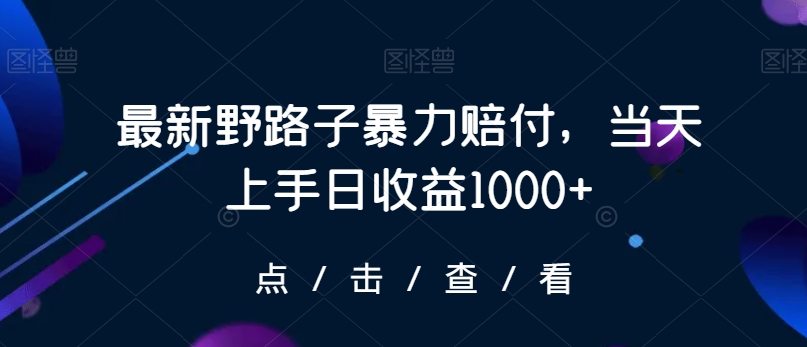 最新野路子暴力赔付，当天上手日收益1000+【仅揭秘】-一号资源库