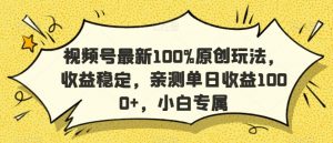 视频号最新100%原创玩法，收益稳定，亲测单日收益1000+，小白专属【揭秘】-一号资源库