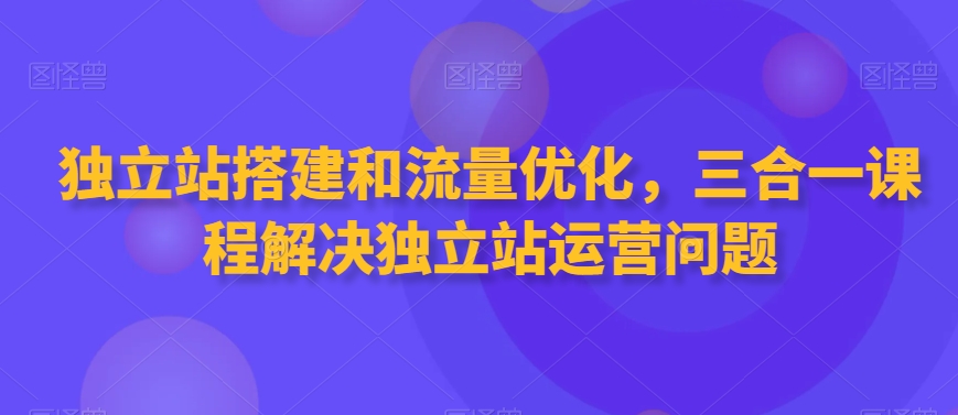 独立站搭建和流量优化，三合一课程解决独立站运营问题-一号资源库