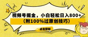 视频号掘金，小白轻松日入800+（附100%过原创技巧）【揭秘】-一号资源库