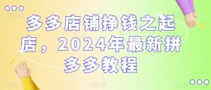 多多店铺挣钱之起店，2024年最新拼多多教程-一号资源库