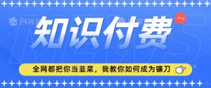 2024最新知识付费项目，小白也能轻松入局，全网都在教你做项目，我教你做镰刀【揭秘】-一号资源库