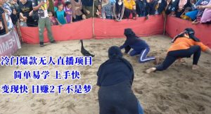 冷门爆款无人直播项目，简单易学上手快，变现快日赚2千不是梦【揭秘】-一号资源库