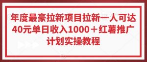 年度最豪拉新项目拉新一人可达40元单日收入1000＋红薯推广计划实操教程【揭秘】-一号资源库