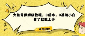 怎么样靠阿里大厂撸金，背靠大厂日入2000+，大鱼号保姆级教程，0成本，0基础小白看了就能上手【揭秘】-一号资源库