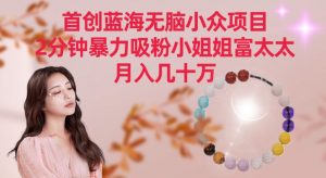 首创蓝海无脑小众项目，2分钟暴力吸粉小姐姐富太太，月入几十万【揭秘】-一号资源库