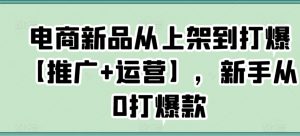 电商新品从上架到打爆【推广+运营】,新手从0打爆款-一号资源库