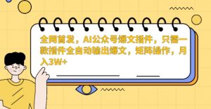 全网首发，AI公众号爆文插件，只需一款插件全自动输出爆文，矩阵操作，月入3W+【揭秘】-一号资源库