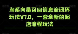淘系向量召回信息流闭环玩法V7.0，一套全新的起店流程玩法-一号资源库