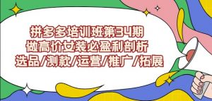 拼多多培训班第34期：做高价女装必盈利剖析选品/测款/运营/推广/拓展-一号资源库